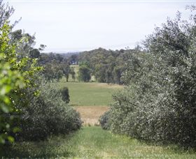 Samaria Farm - Darwin Holiday 7