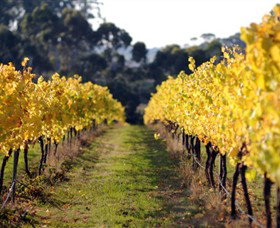 Otway Estate - Darwin Holiday 6