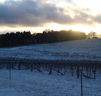 Charles Sturt University Winery - Darwin Holiday