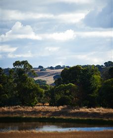 Brae - Darwin Holiday 4