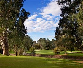 Commercial Golf Course - Darwin Holiday 0