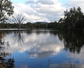 Wonga Wetlands - Darwin Holiday 1