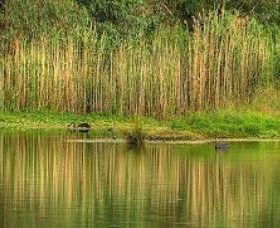 Wonga Wetlands - Darwin Holiday 2