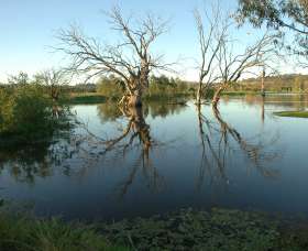 Wonga Wetlands - Darwin Holiday 4