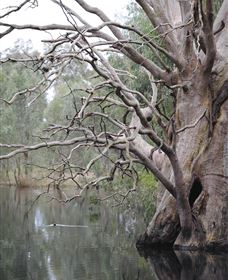 Wonga Wetlands - Darwin Holiday 3
