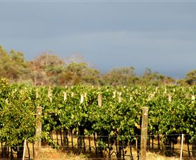 Amulet Vineyard And Beechworth Cider - Darwin Holiday 7