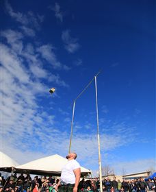 Amulet Vineyard And Beechworth Cider - Darwin Holiday 6