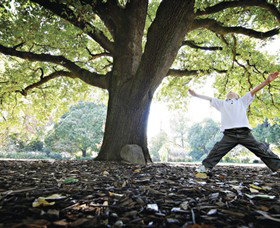 Albury Botanic Gardens - Darwin Holiday 1