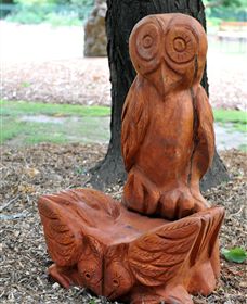 Albury Botanic Gardens - Darwin Holiday 7