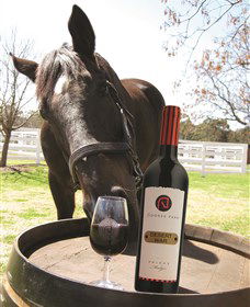 Gooree Park Mudgee - Darwin Holiday 0