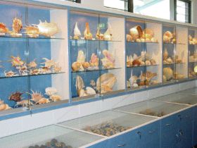 Shell World Yeppoon - Darwin Holiday 1