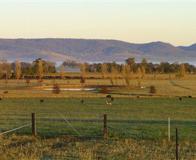 Holbrook Landcare Self-Drive Eco Tour - Darwin Holiday 0