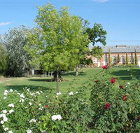 Ian Geddes Bushwalk - Darwin Holiday