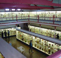 National Museum of Australian Pottery - Darwin Holiday