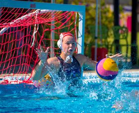 WAVES - Darwin Holiday 3