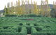 Brookfield Maze - thumb 0