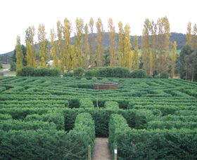 Brookfield Maze - Darwin Holiday 0