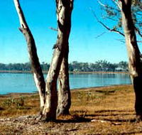 Lake Broadwater Conservation Park - Darwin Holiday