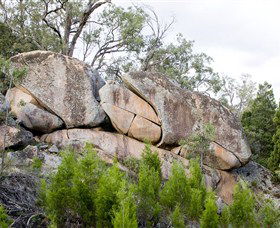 Frog Rock - Darwin Holiday 1