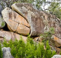 Frog Rock - Darwin Holiday