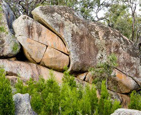 Frog Rock - Darwin Holiday 0