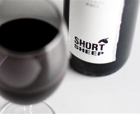 Short Sheep Micro-Winery - Darwin Holiday 4