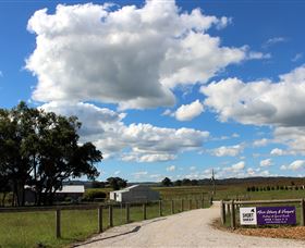 Short Sheep Micro-Winery - Darwin Holiday 8