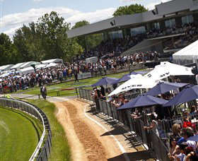 Thoroughbred Park Canberra Racing Club - Horse Racing In The Nations Capital - Darwin Holiday 1