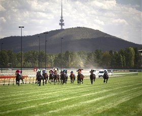 Thoroughbred Park Canberra Racing Club - Horse Racing In The Nations Capital - Darwin Holiday 3