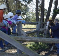 Harlow Park Horse Riding - Darwin Holiday