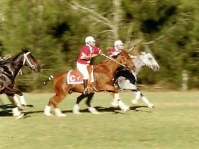 Morgan Park, Warwick - Darwin Holiday 0