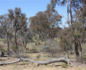 Remembrance Nature Park - Darwin Holiday 0