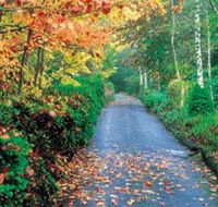 Mount Wilson and Mount Irvine - Darwin Holiday