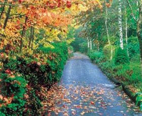 Mount Wilson And Mount Irvine - Darwin Holiday 0