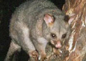 Moondarra State Park - Darwin Holiday 0