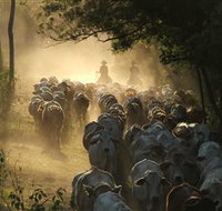 Springvale Horse Treks - Darwin Holiday