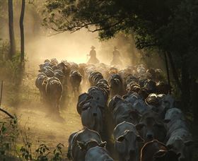 Springvale Horse Treks - Darwin Holiday 0