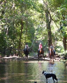 Springvale Horse Treks - Darwin Holiday 2