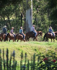 Springvale Horse Treks - Darwin Holiday 1