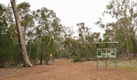 Little Llangothlin Picnic Area - Darwin Holiday 2