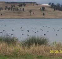 Lake Liddell Recreation Area - Darwin Holiday