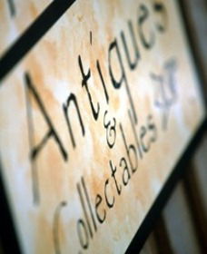 Mr Pickwicks Fine Old Books - Darwin Holiday 0