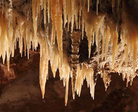 Wombeyan Caves - Darwin Holiday 1