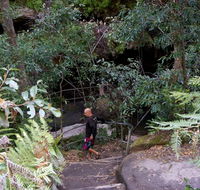 Leura Cascades Fern Bower - Darwin Holiday