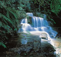 Leura Cascades - Darwin Holiday