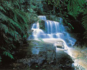 Leura Cascades - Darwin Holiday 0