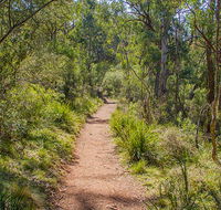 Mares Forest Creek walking track - Darwin Holiday