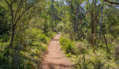 Mares Forest Creek Walking Track - Darwin Holiday 0