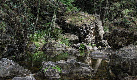 Mares Forest Creek Walking Track - Darwin Holiday 1