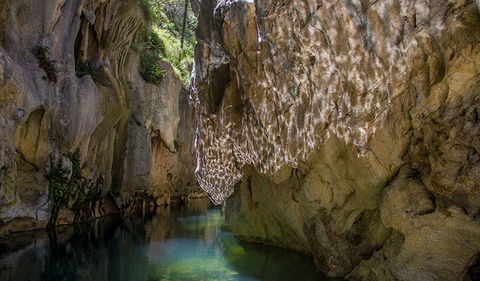 Mares Forest Creek Walking Track - Darwin Holiday 2